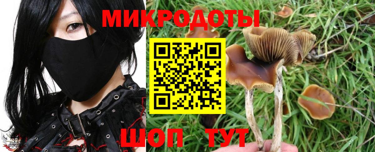 Каннабис Кулебаки